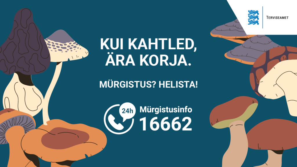 Seened: kui kahtled, ära korja