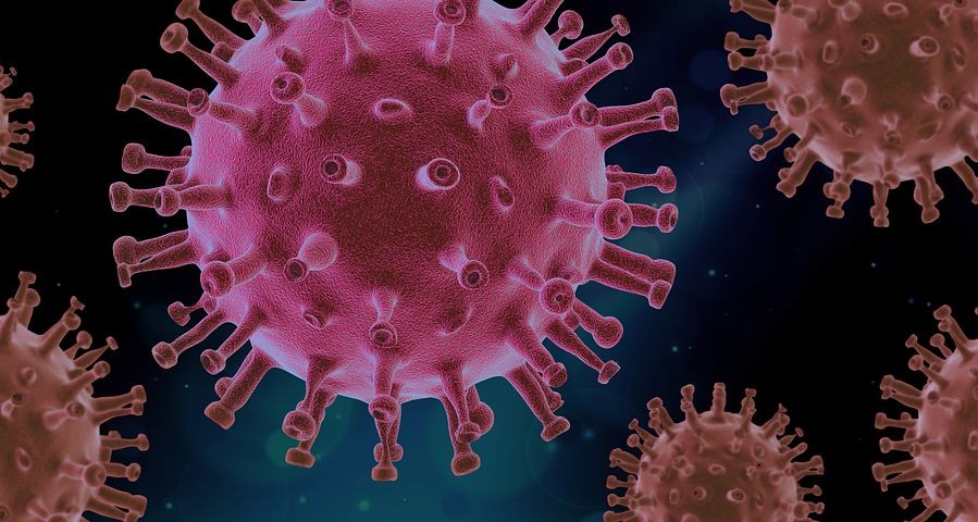 virus-4937553_480_1.jpg